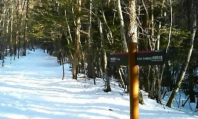 a0130586_20635.jpg