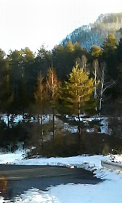 a0130586_2072456.jpg
