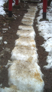 b0099994_816368.jpg