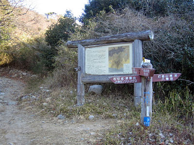 b0108100_7521299.jpg