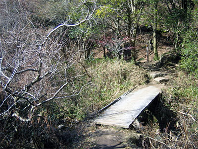 b0108100_7532167.jpg