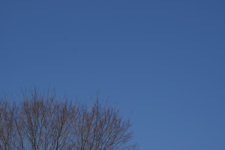 c0208200_2239172.jpg