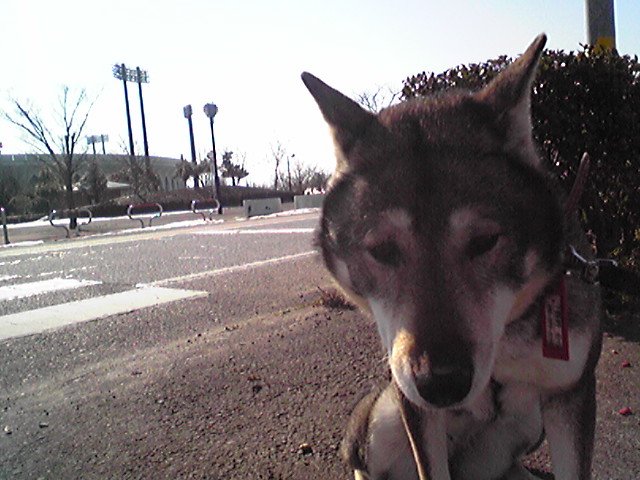 f0079202_15295031.jpg