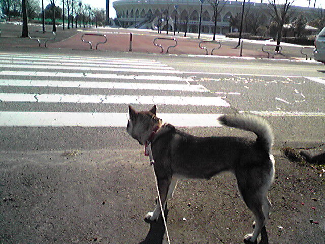 f0079202_1529505.jpg