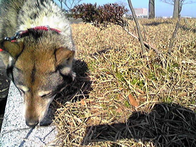 f0079202_15295094.jpg