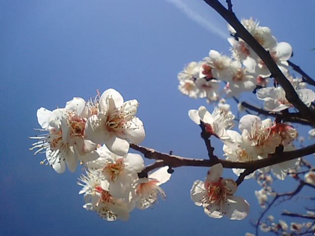 f0231709_10105366.jpg
