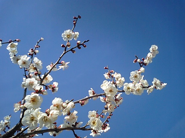 f0231709_10111599.jpg