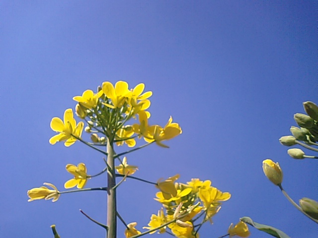 f0231709_1015444.jpg