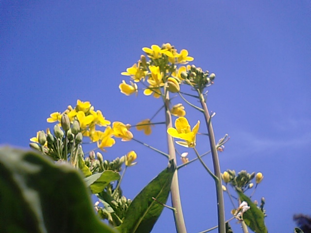 f0231709_10164841.jpg