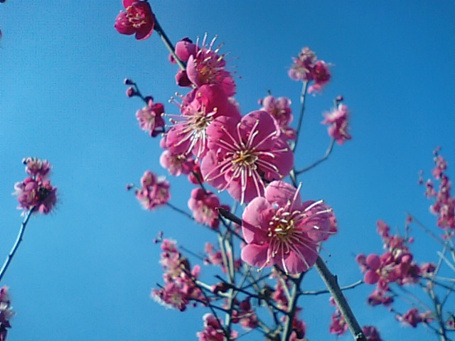 f0231709_1084925.jpg