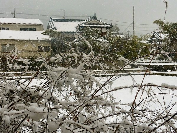 b0057612_1635392.jpg