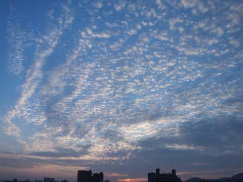 c0103119_1242854.jpg