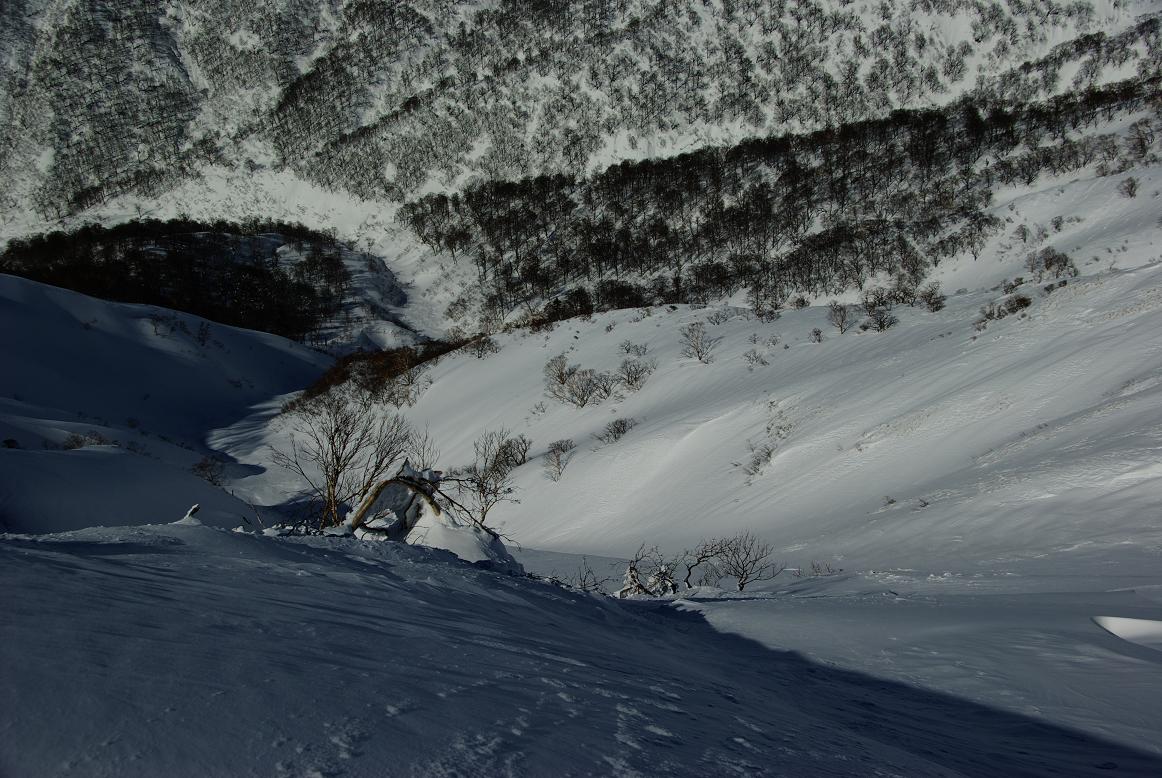 b0062024_7524539.jpg