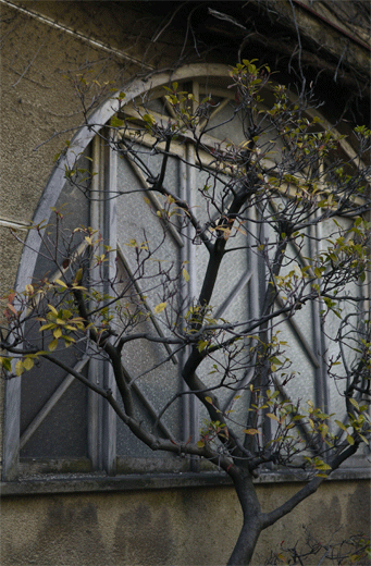 e0205625_22241058.gif