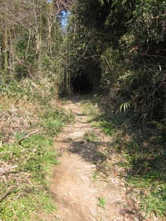 f0147025_13421448.jpg