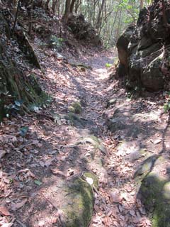 f0147025_13433662.jpg