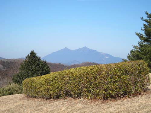 f0147025_1359117.jpg
