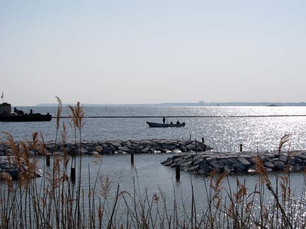 f0147025_7244240.jpg