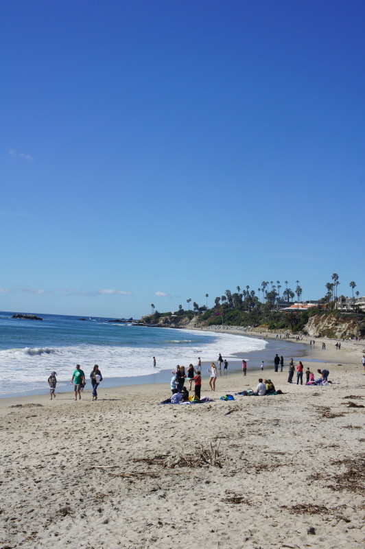 b0204528_11455231.jpg