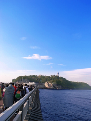 a0022531_185218.jpg