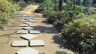 e0137433_13413056.jpg