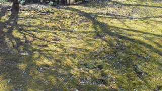 e0137433_13422514.jpg