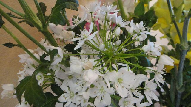 f0208737_8201370.jpg