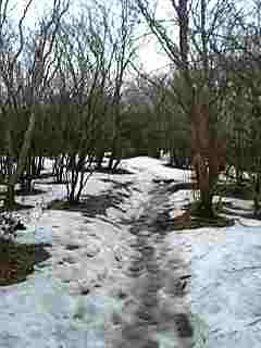 c0077338_2115329.jpg