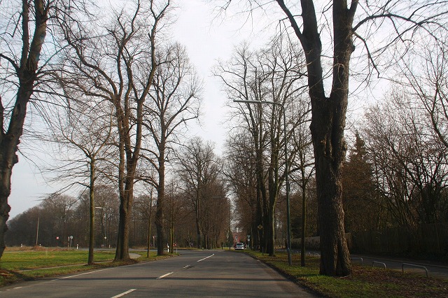 c0153740_330492.jpg