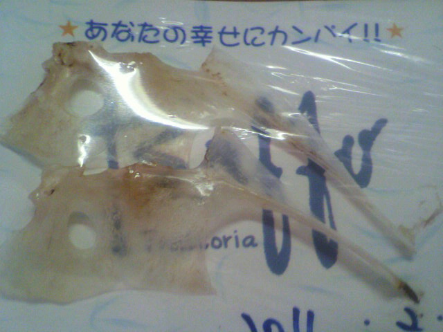 d0106440_1036921.jpg