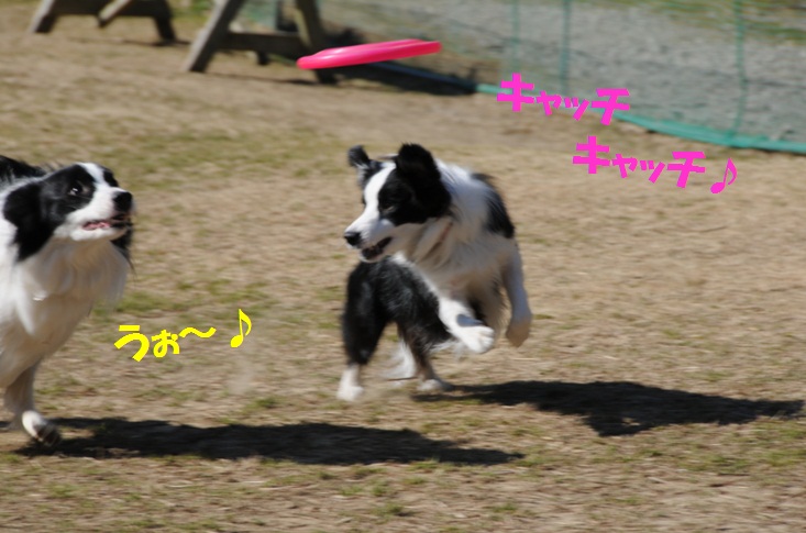 c0147241_2147542.jpg