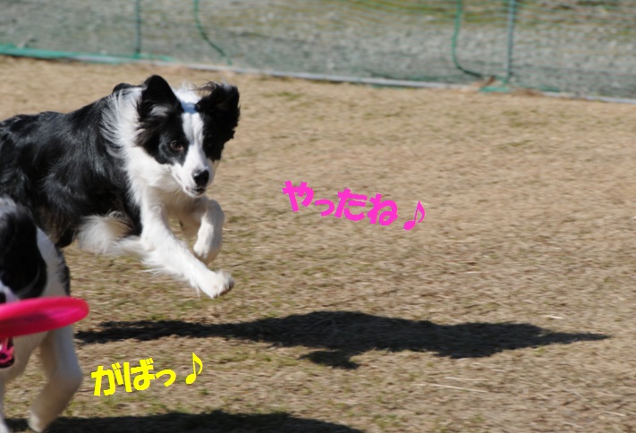 c0147241_21481564.jpg