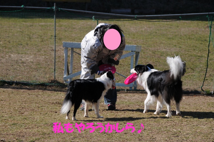 c0147241_21483293.jpg