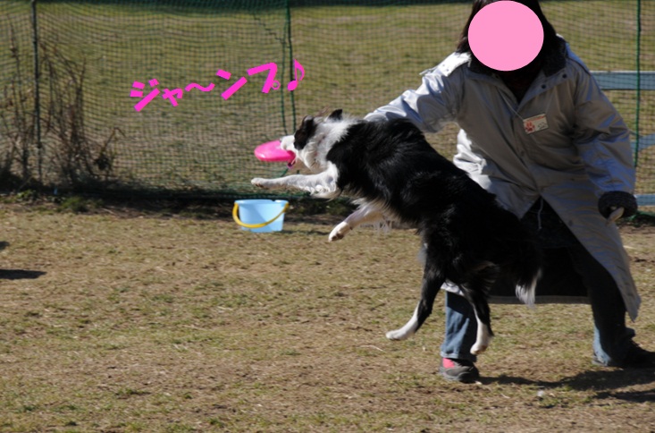 c0147241_21484270.jpg
