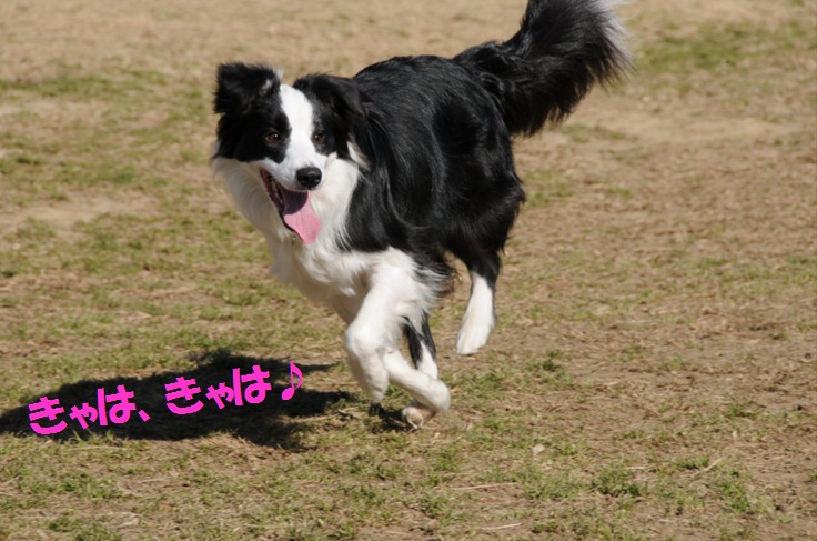 c0147241_21491477.jpg
