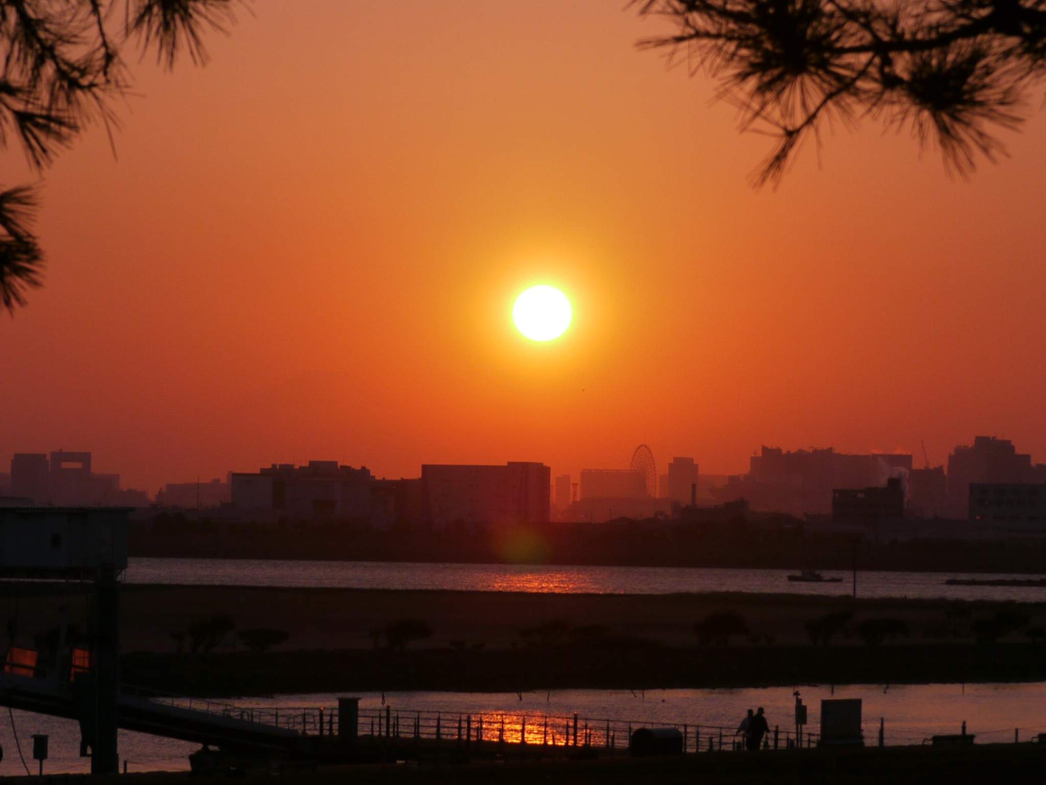 b0190242_21485245.jpg