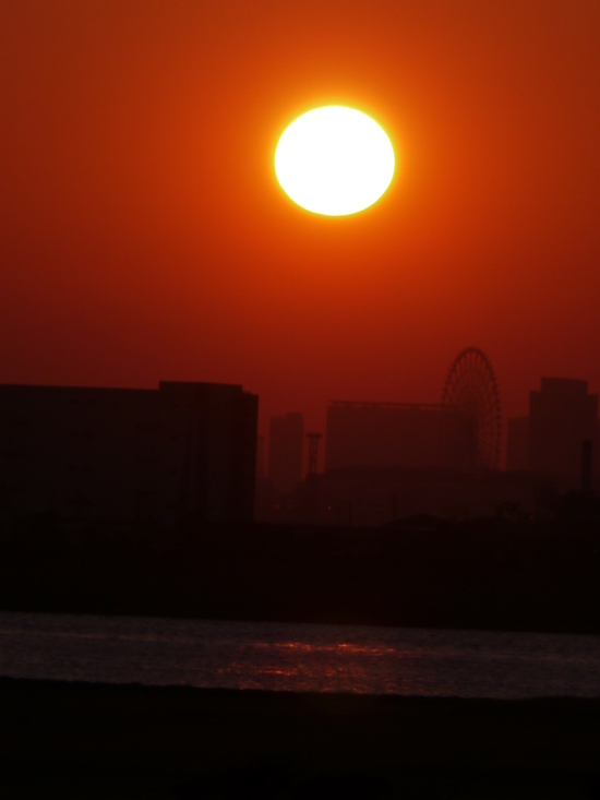 b0190242_21583914.jpg