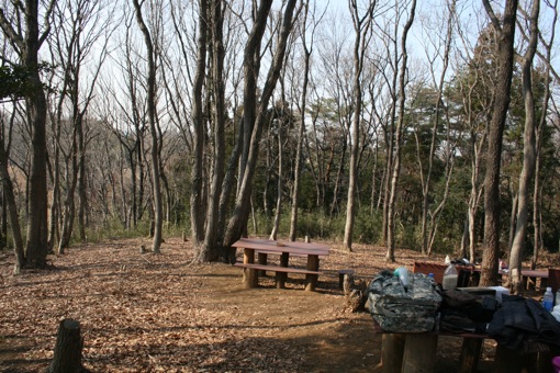a0044046_235054.jpg