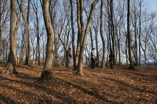 a0044046_23525968.jpg