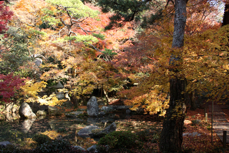 b0148547_12124214.jpg