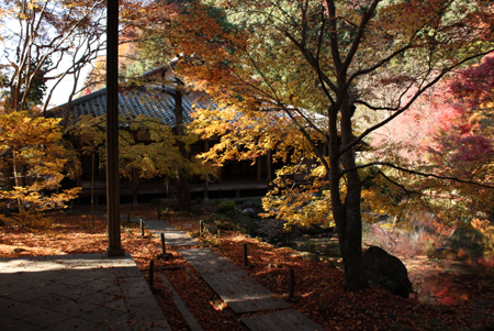 b0148547_1213279.jpg