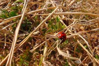 b0200747_2218280.jpg