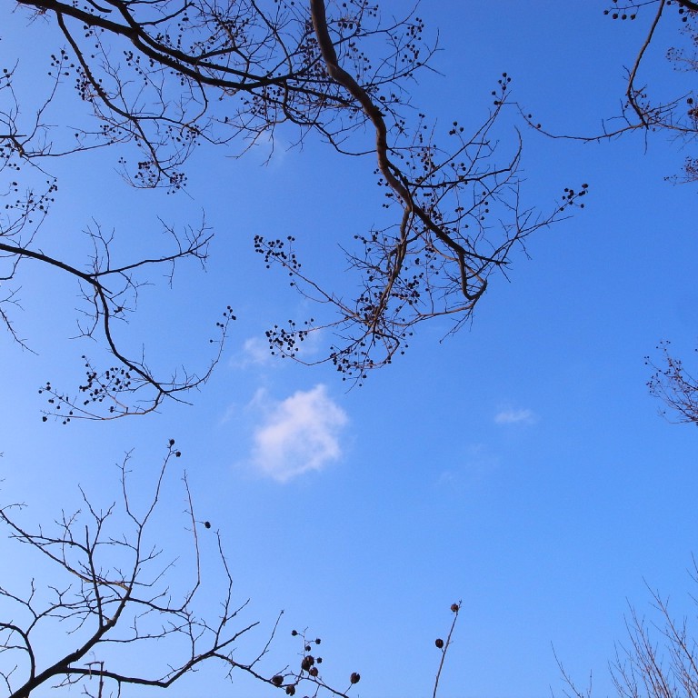 e0009147_818356.jpg