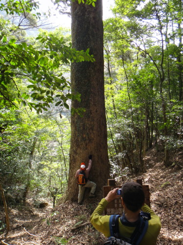 c0179351_8483654.jpg