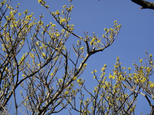 c0179351_991737.jpg