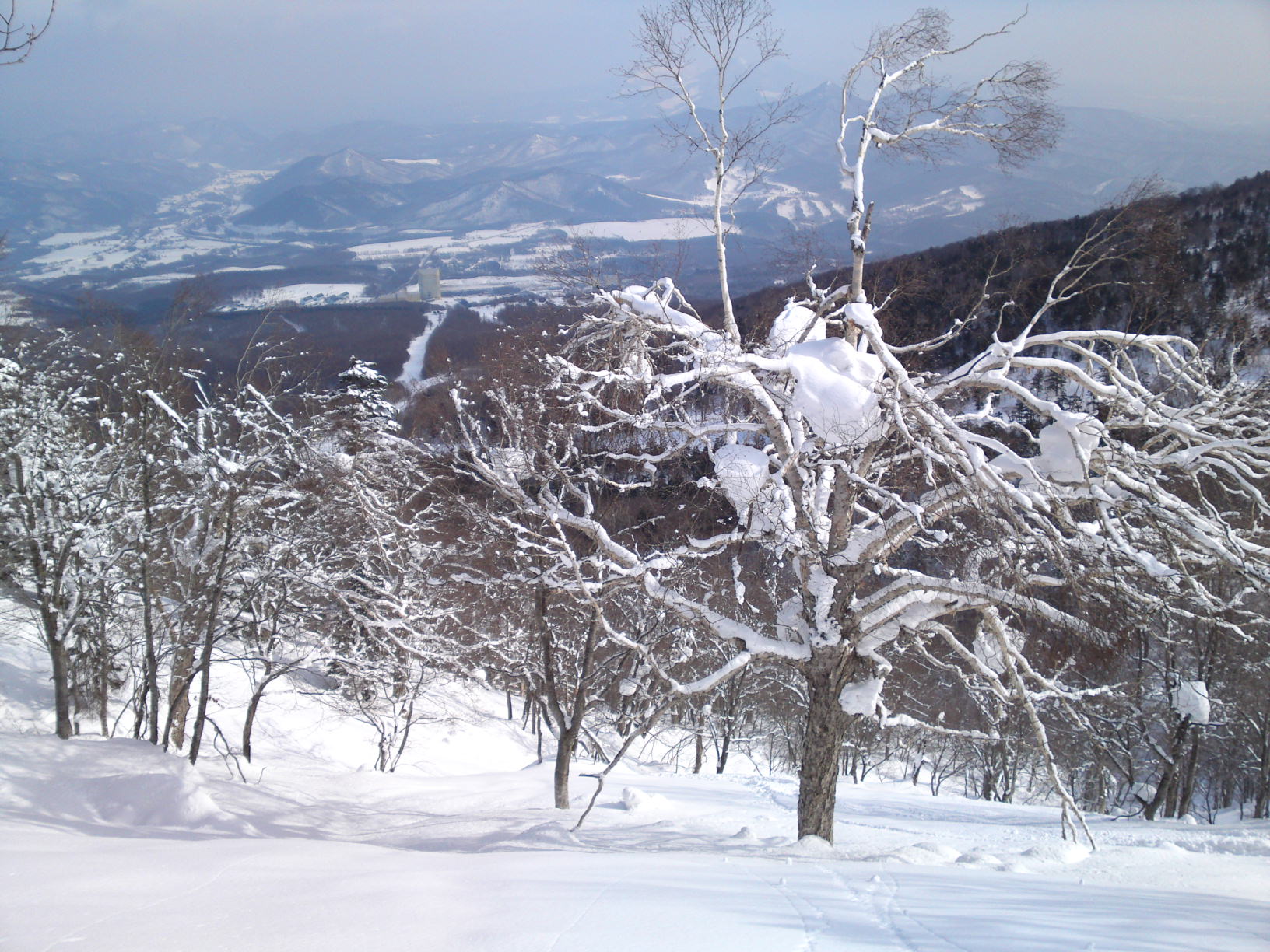 c0164354_16325047.jpg