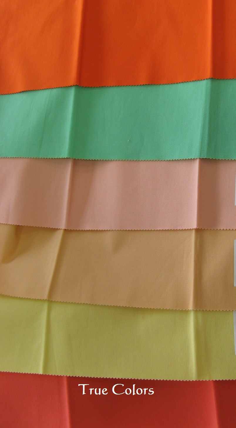 e0227261_849191.jpg