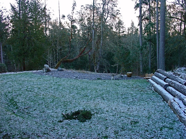 b0185262_15215864.jpg