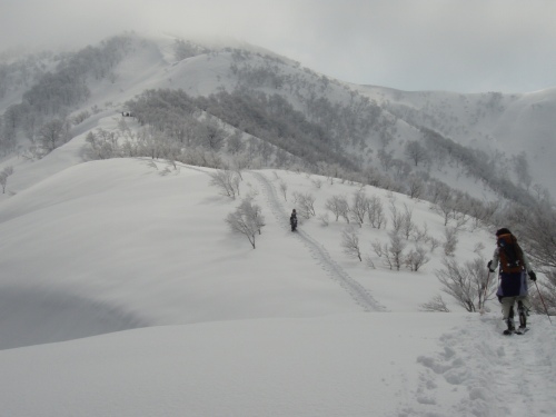 b0050067_23143380.jpg