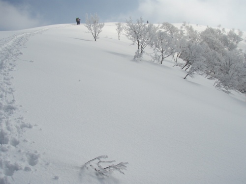 b0050067_23195520.jpg